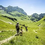 Ours Blanc Orb Nature & Quiet 4 Pers