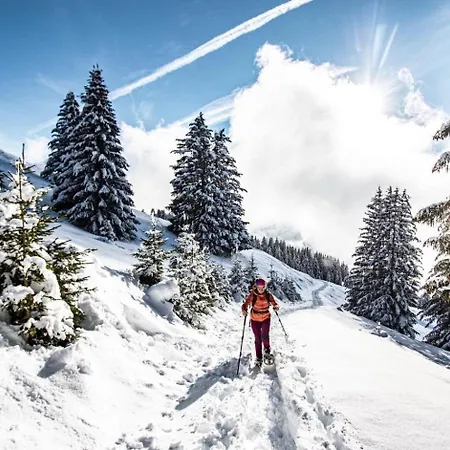 Ours Blanc Orb Nature & Quiet 4 Pers Chatel