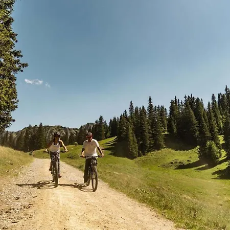 Ours Blanc Orb Nature & Quiet 4 Pers Chatel